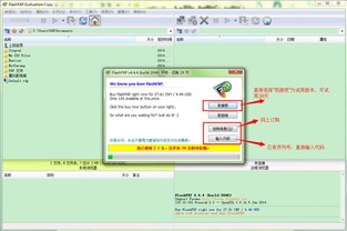FTP服務器軟件下載與配置指南 搭建高效文件傳輸服務